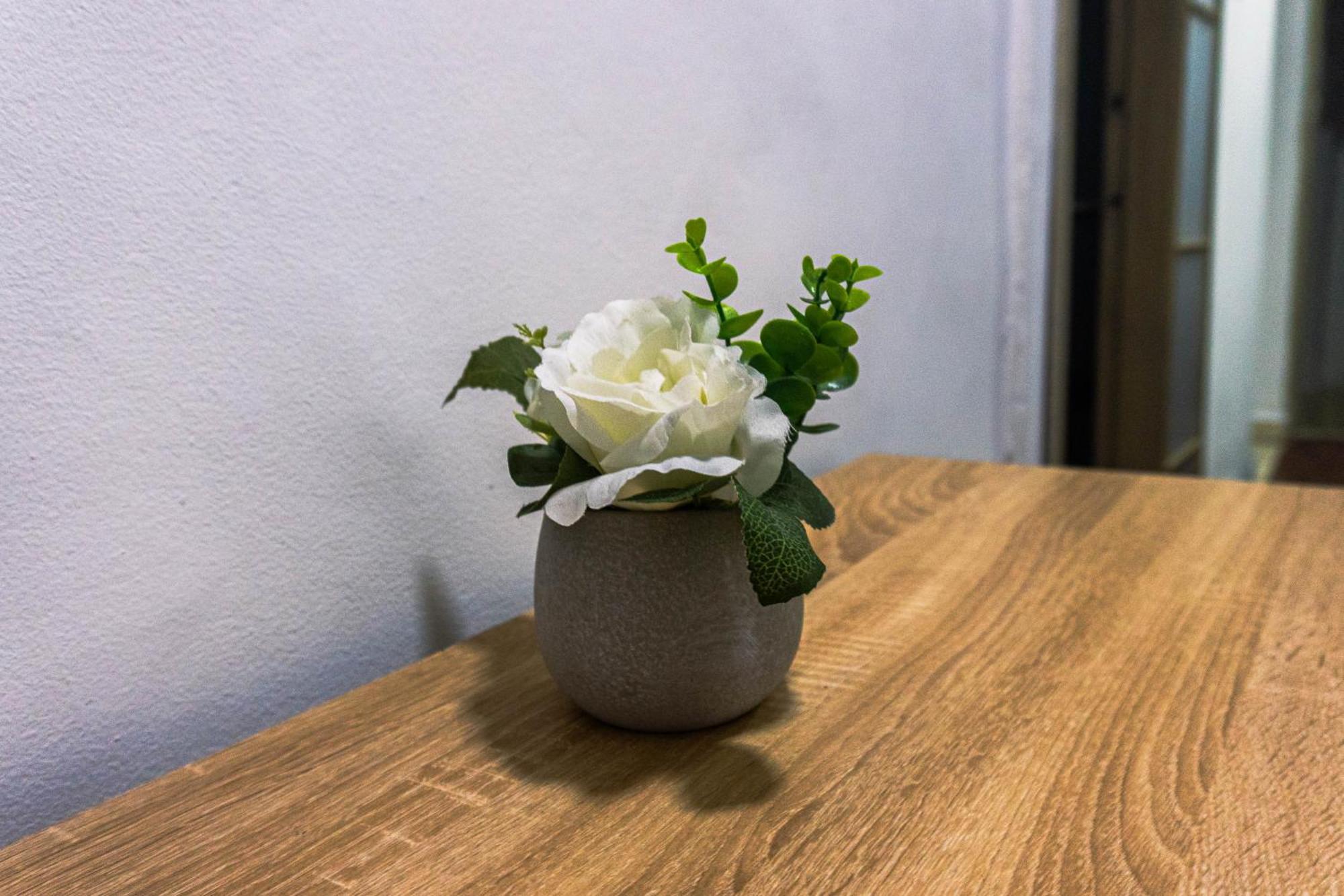 Coliving La Rebeca Pereira酒店 外观 照片