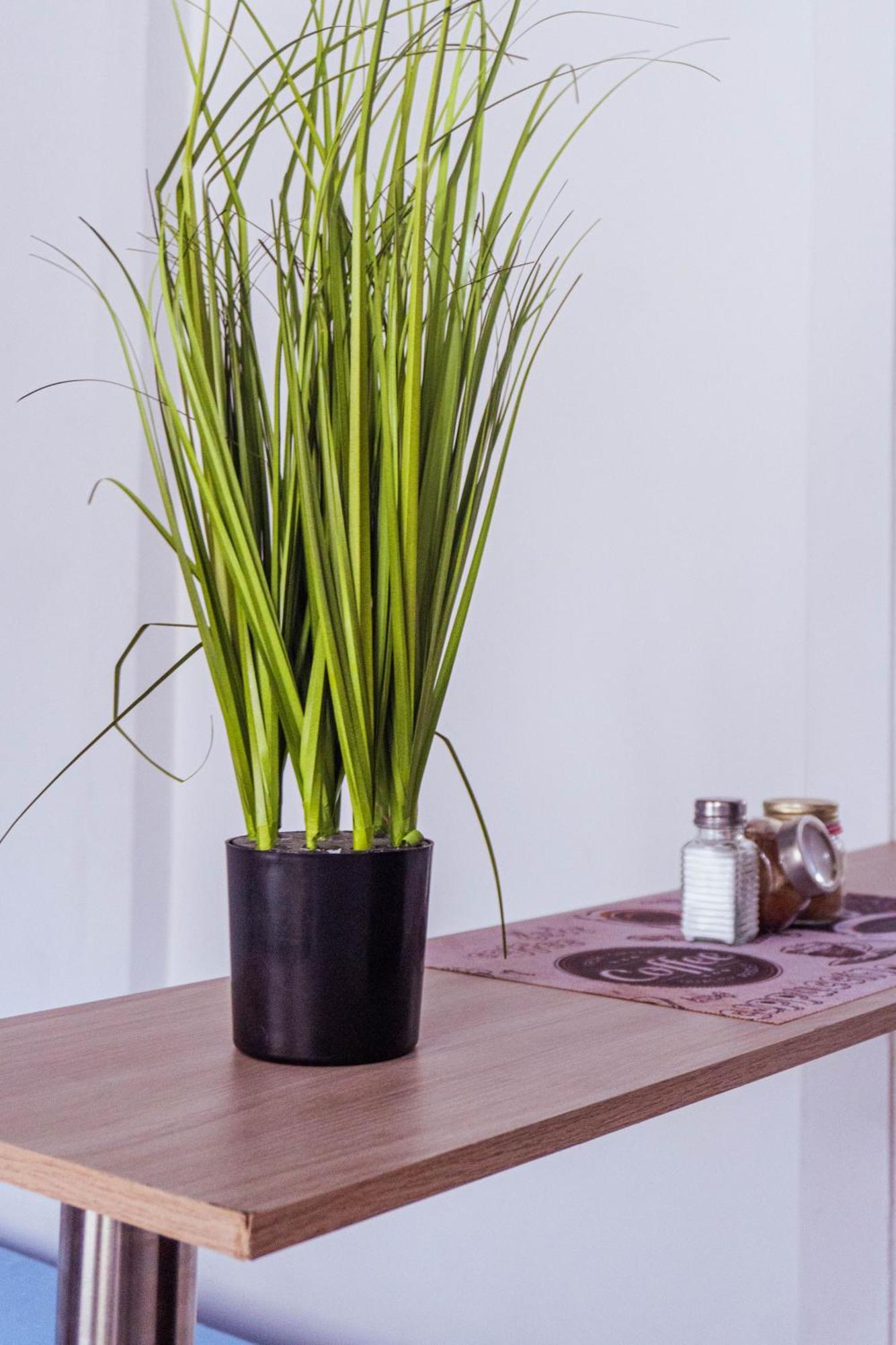 Coliving La Rebeca Pereira酒店 外观 照片