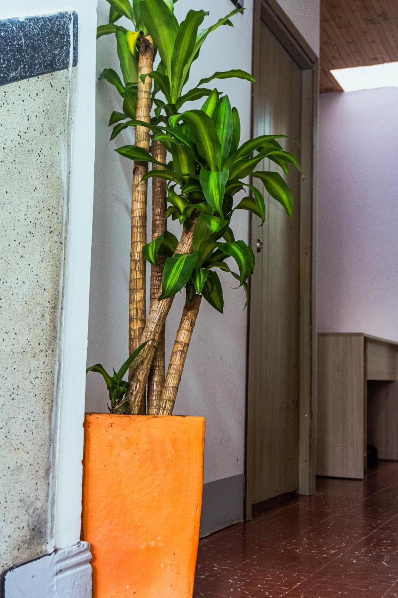 Coliving La Rebeca Pereira酒店 外观 照片